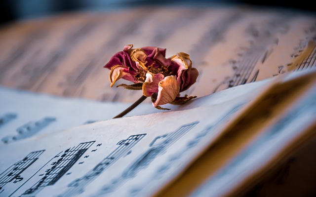 music